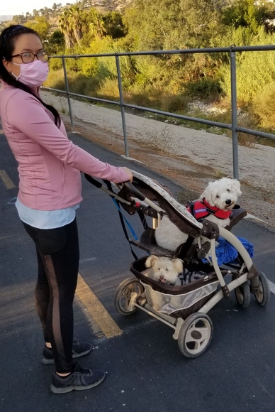 Meet your Posher, Kilena or Lena - Picture 3 of 3